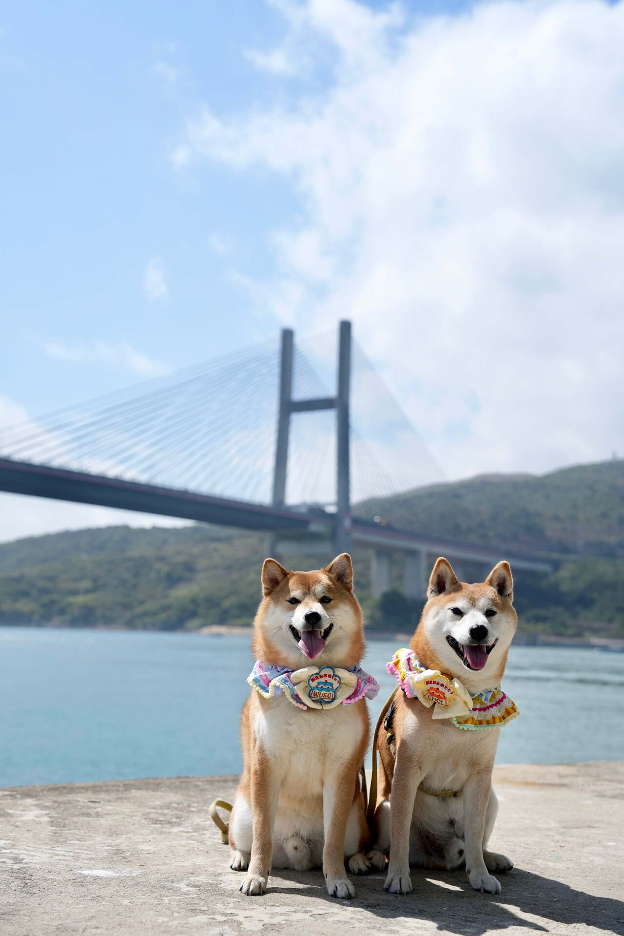 大橋下吹海風