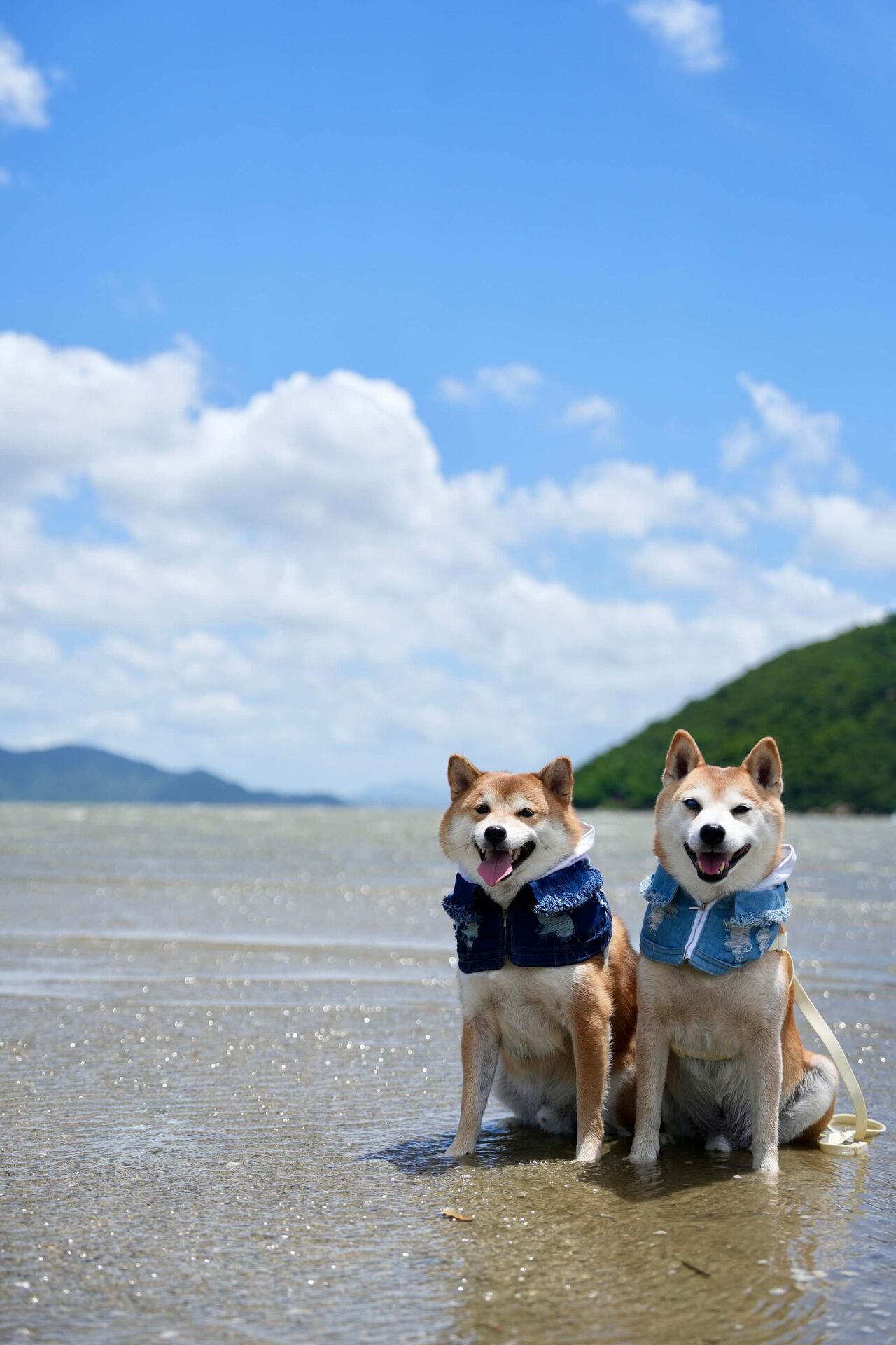 海邊玩耍