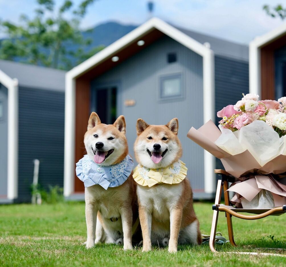 度假小木屋前