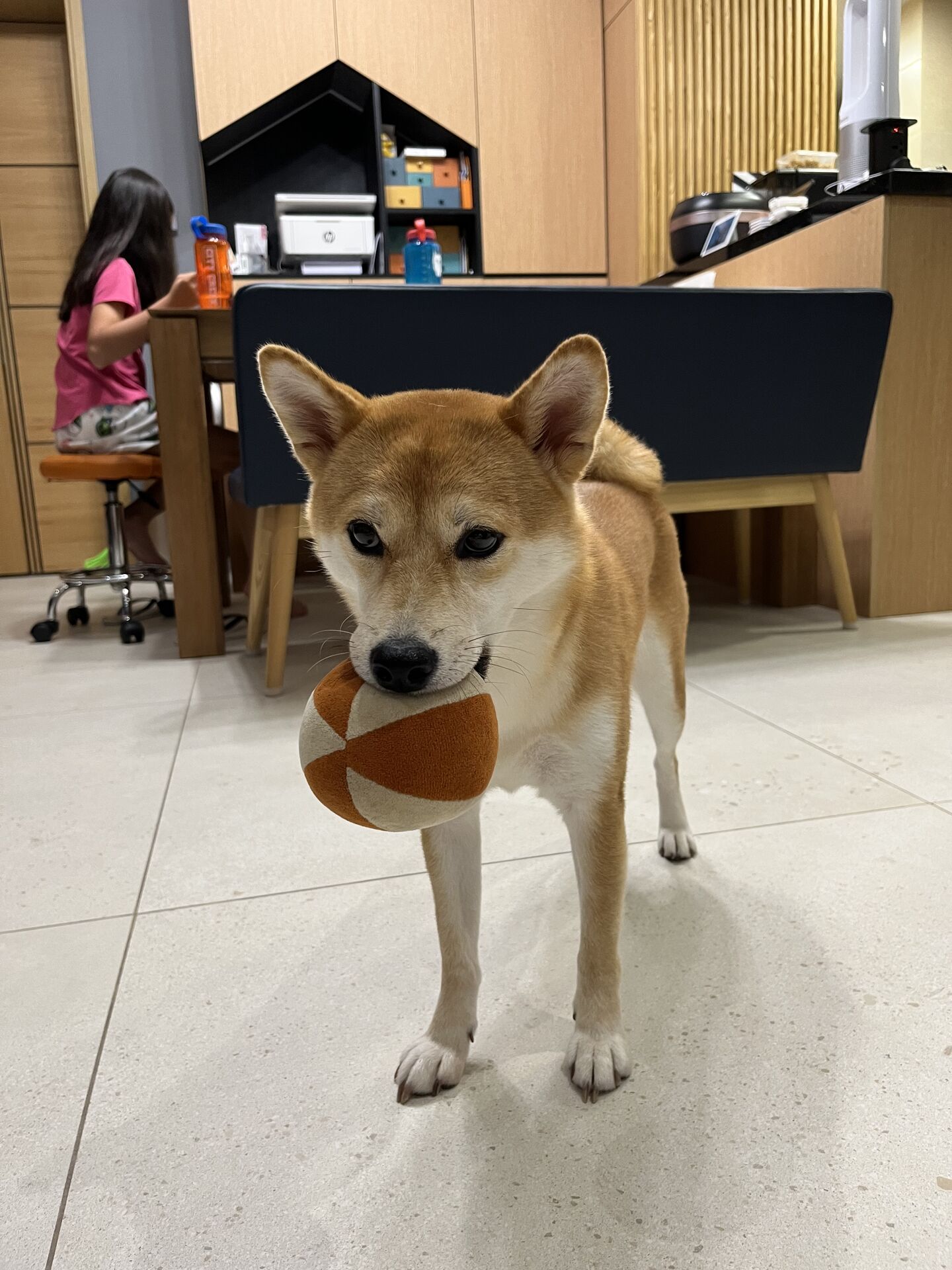 With Ball