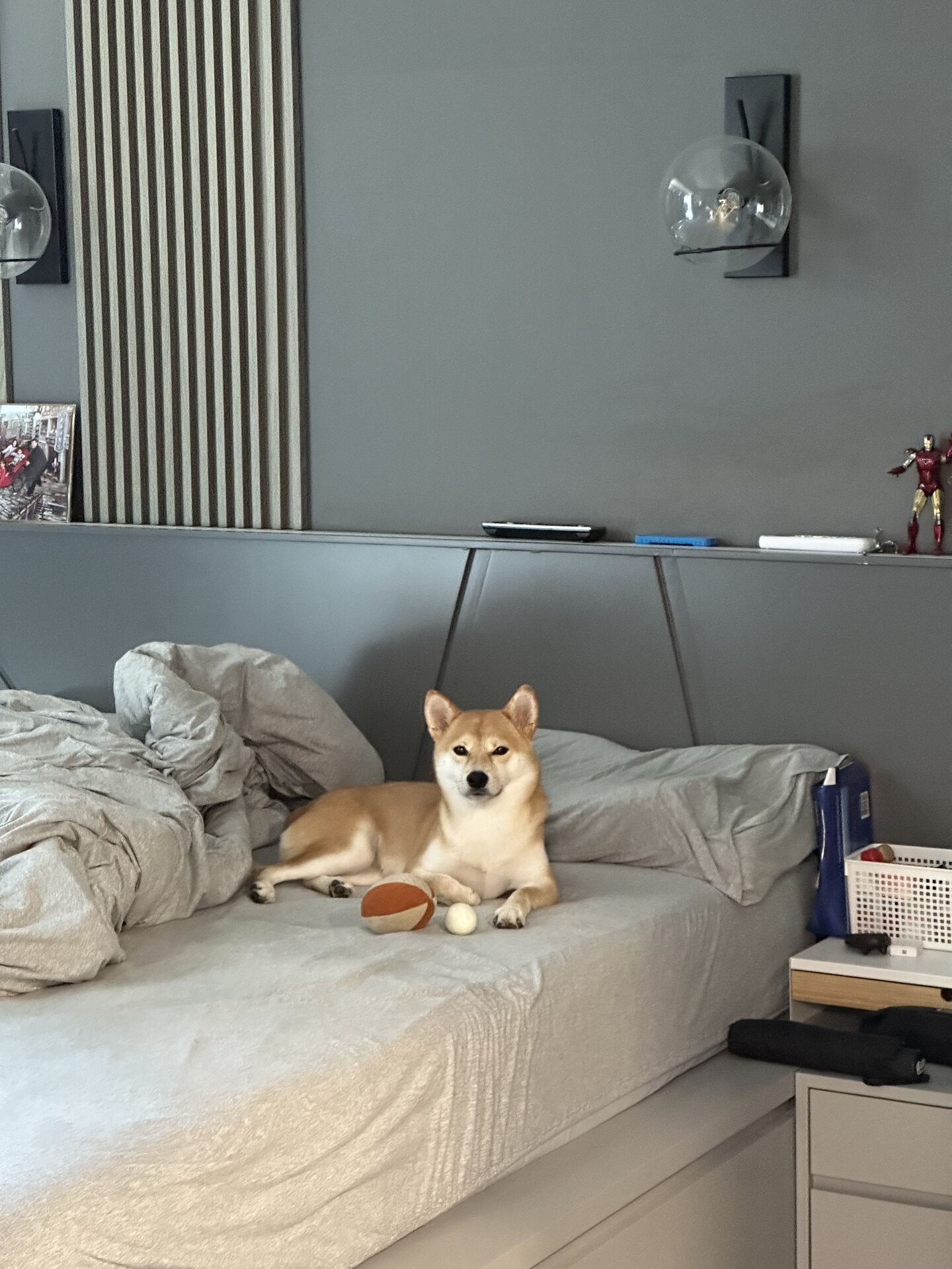 On Bed