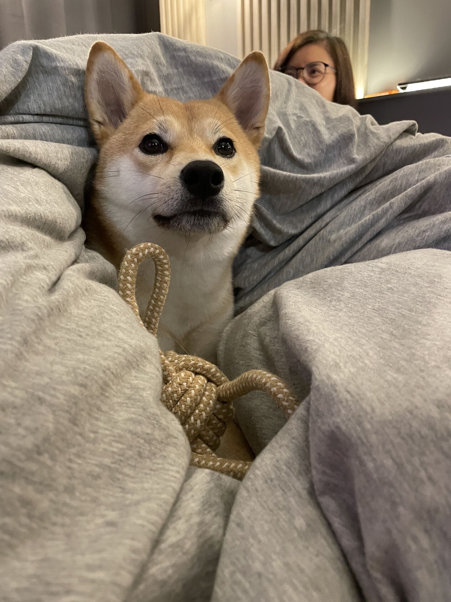 Buried in blankets