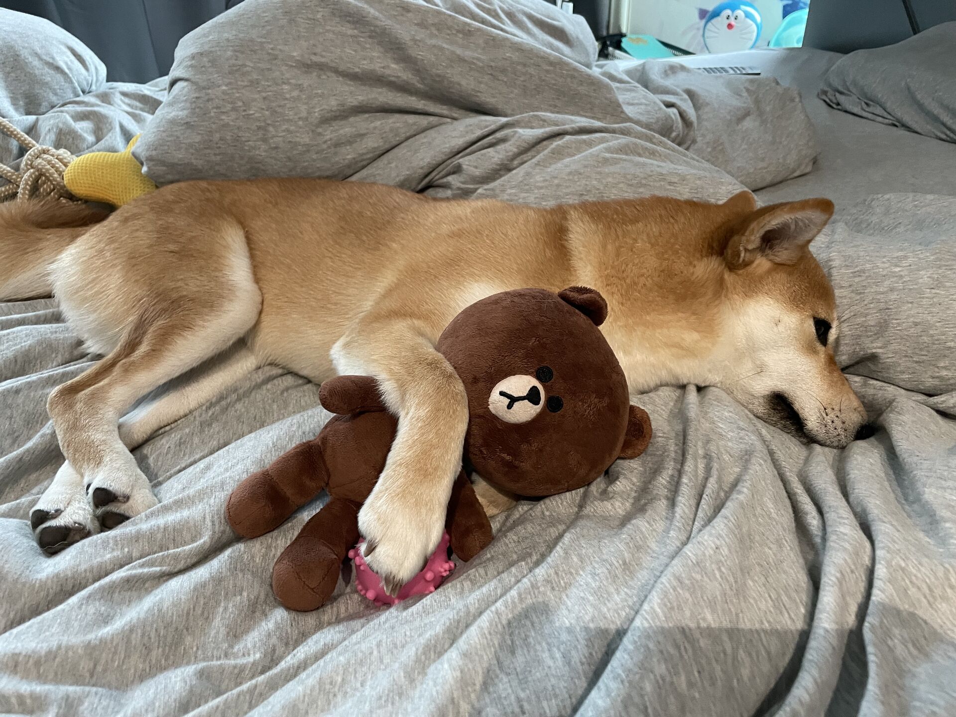 Sleeping with bear