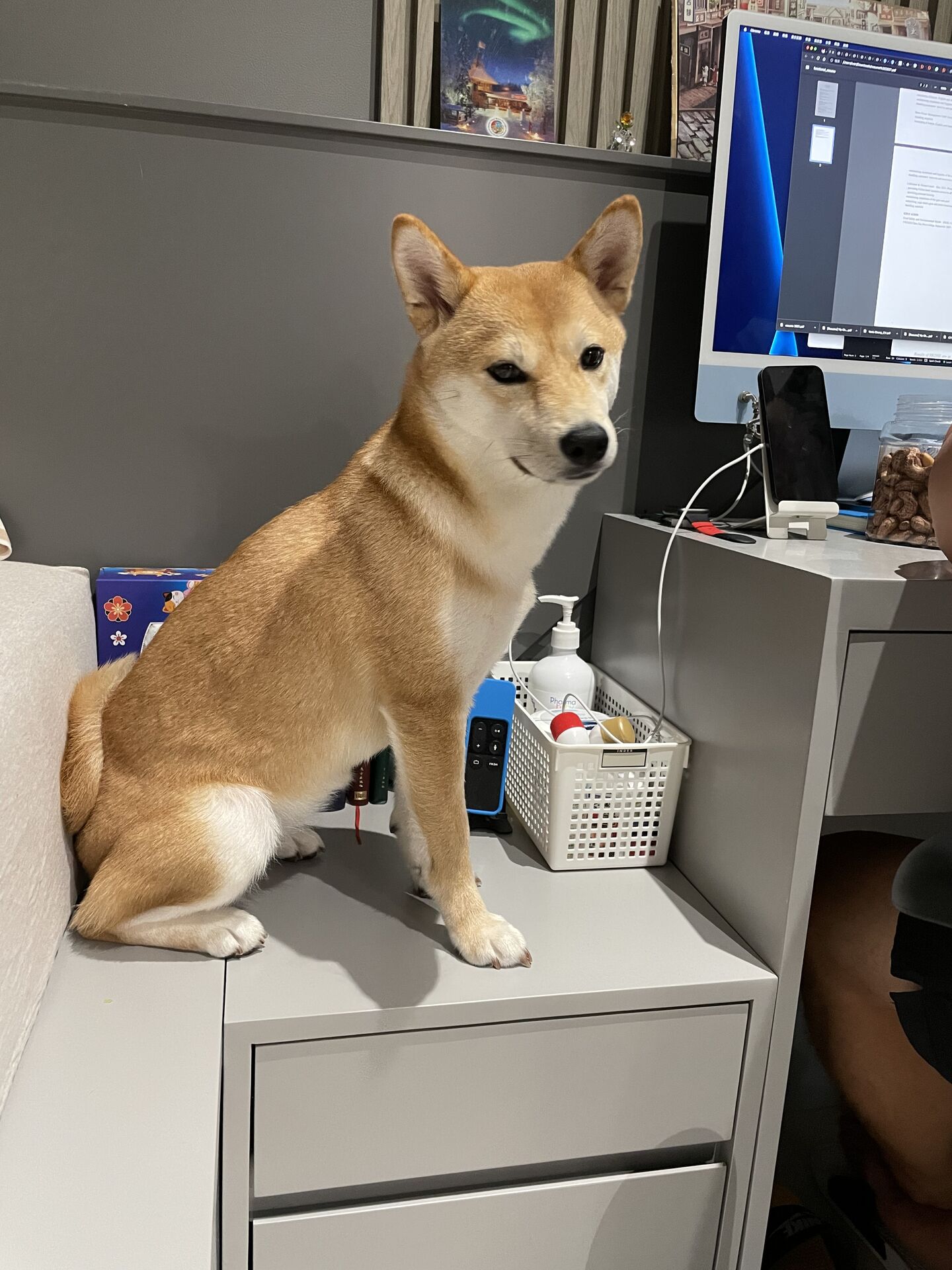 By Desk