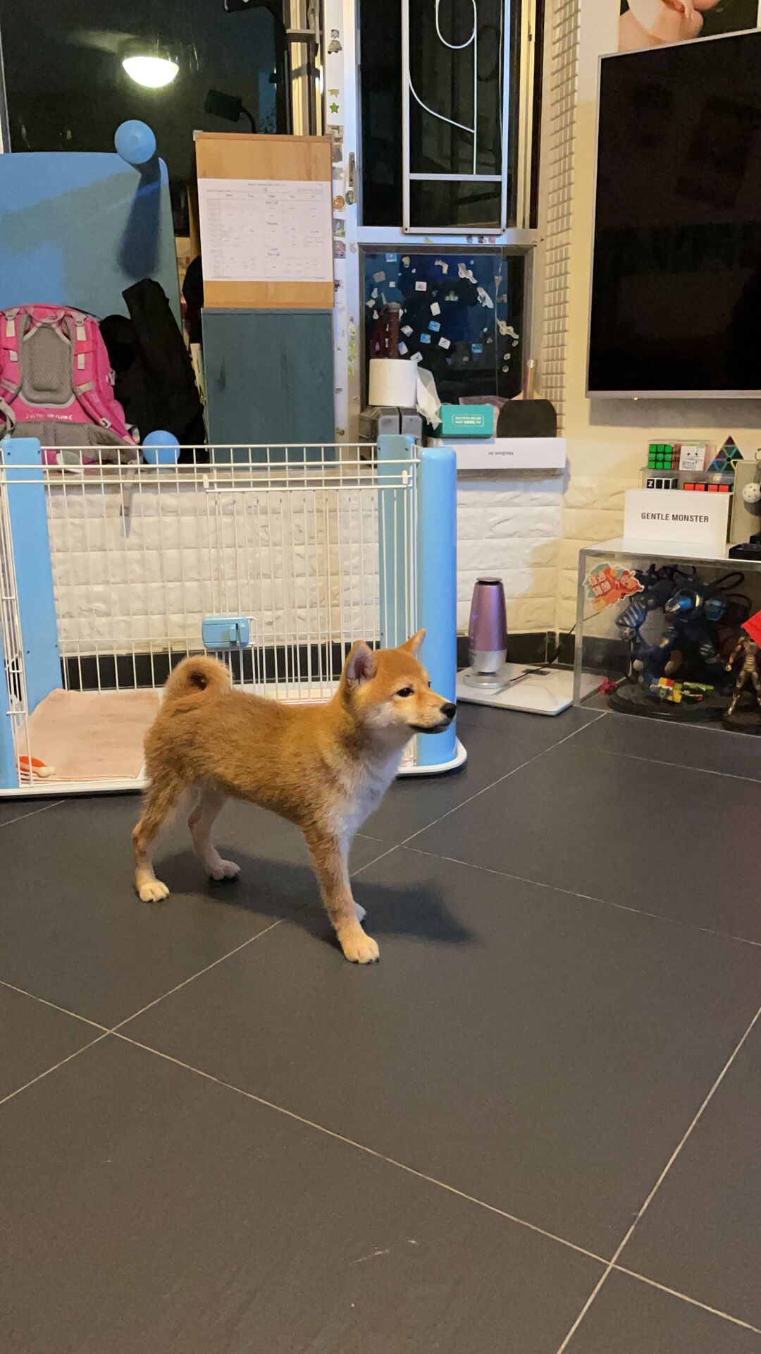 Standing tall