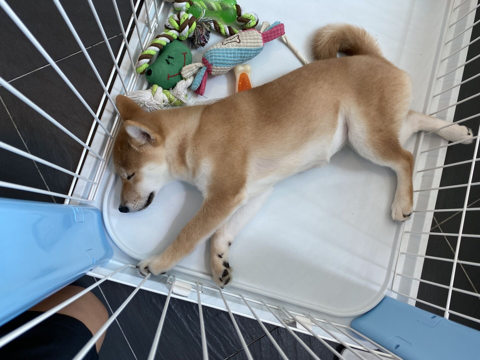 Sleeping