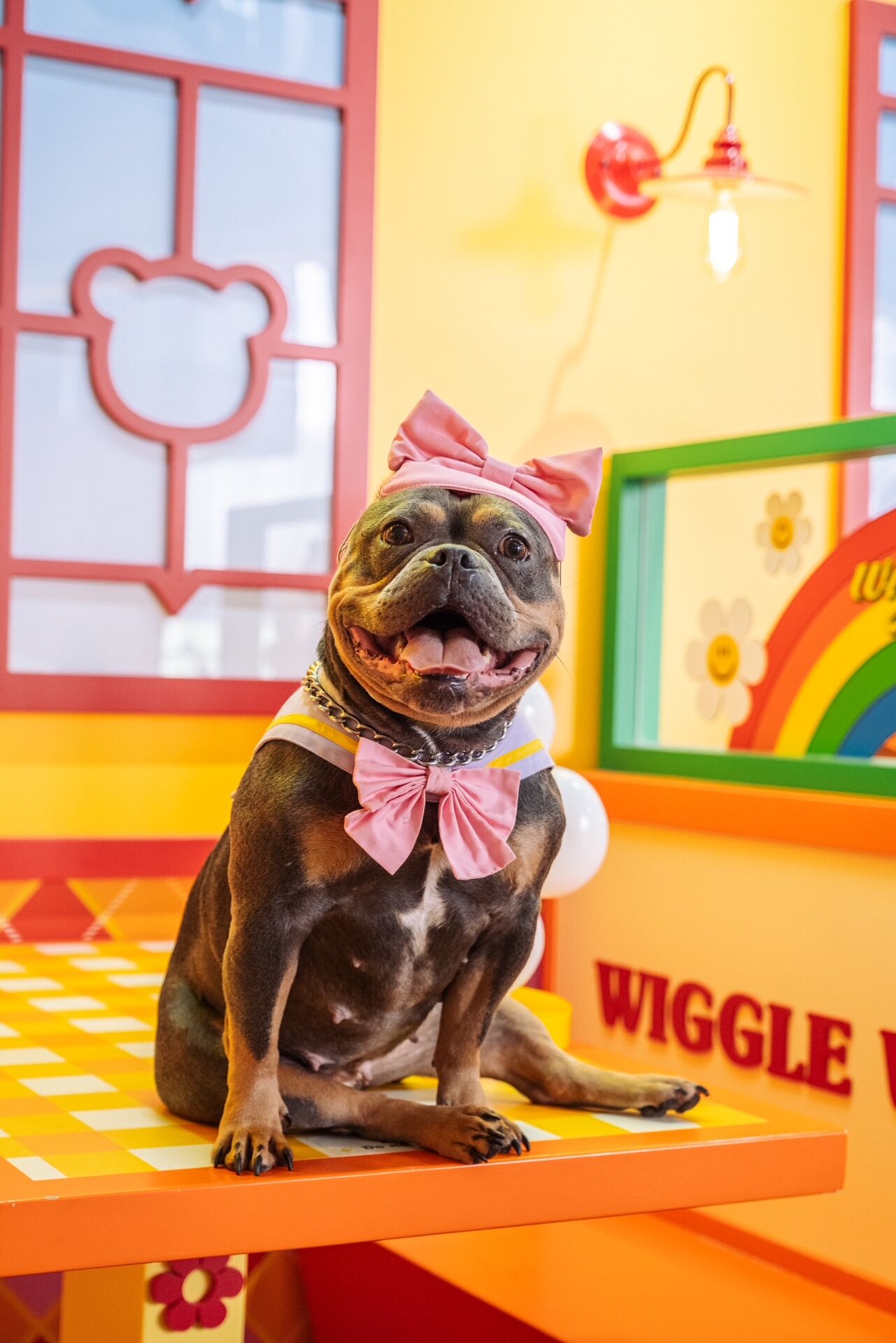 Yellow Background Bow