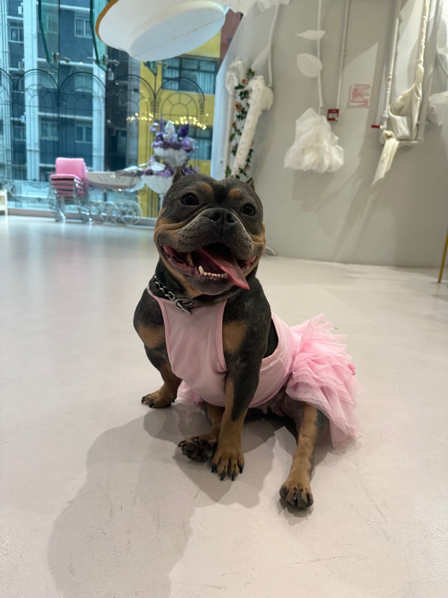 Pink Tutu
