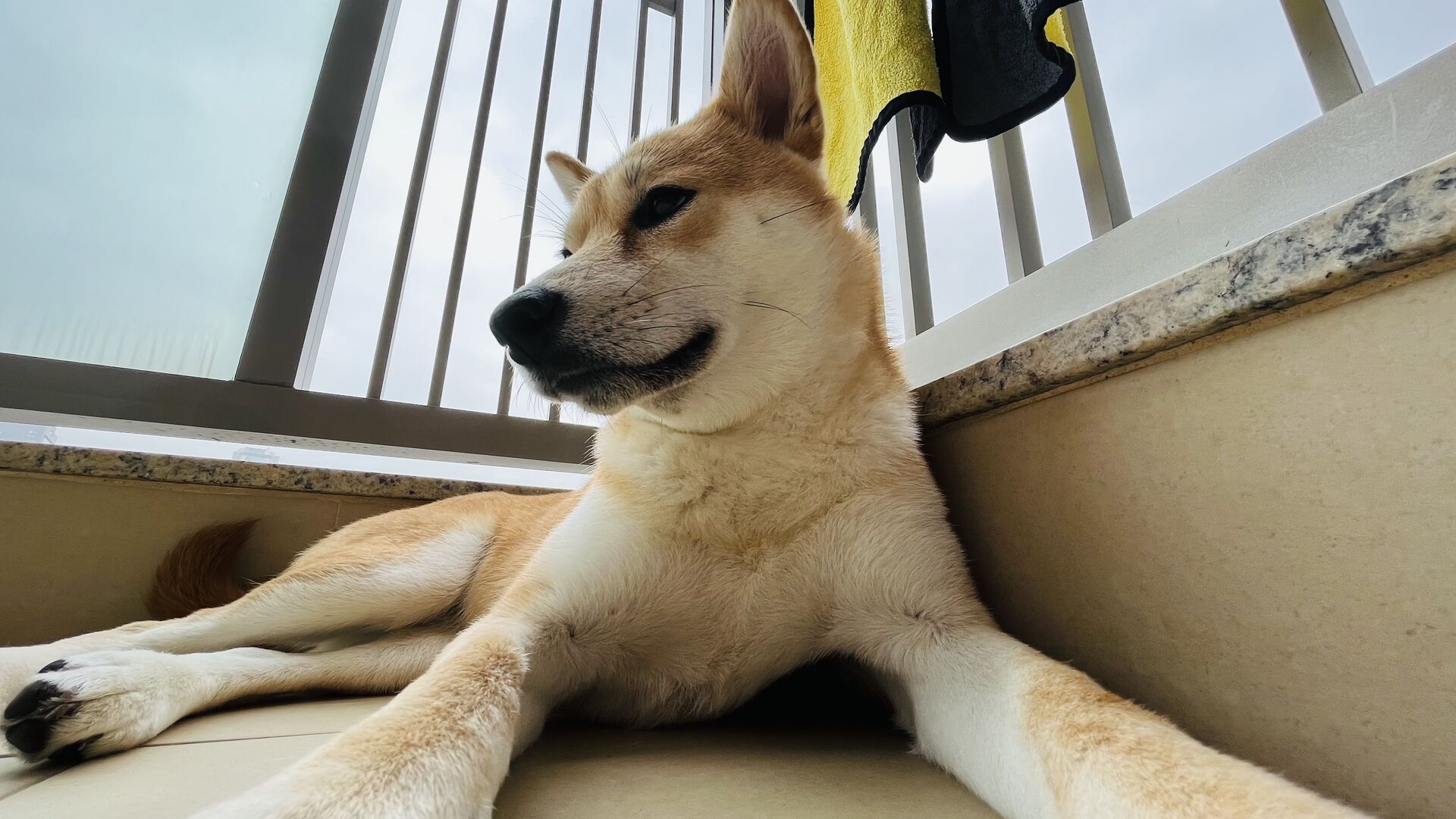 Miu Miu on the balcony