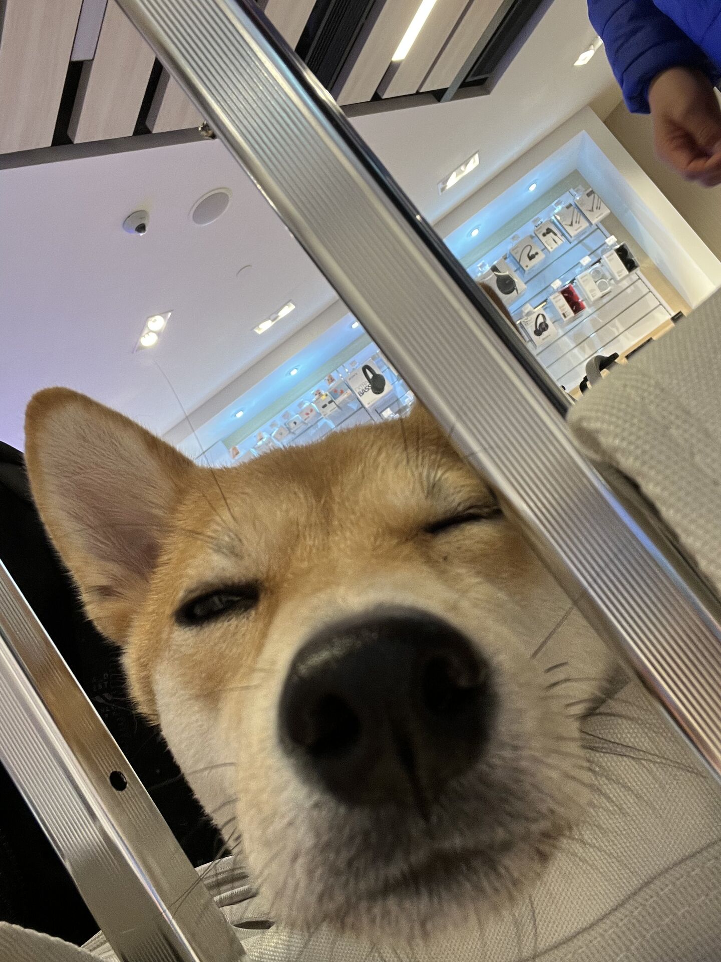 Miu Miu close up sleepy face