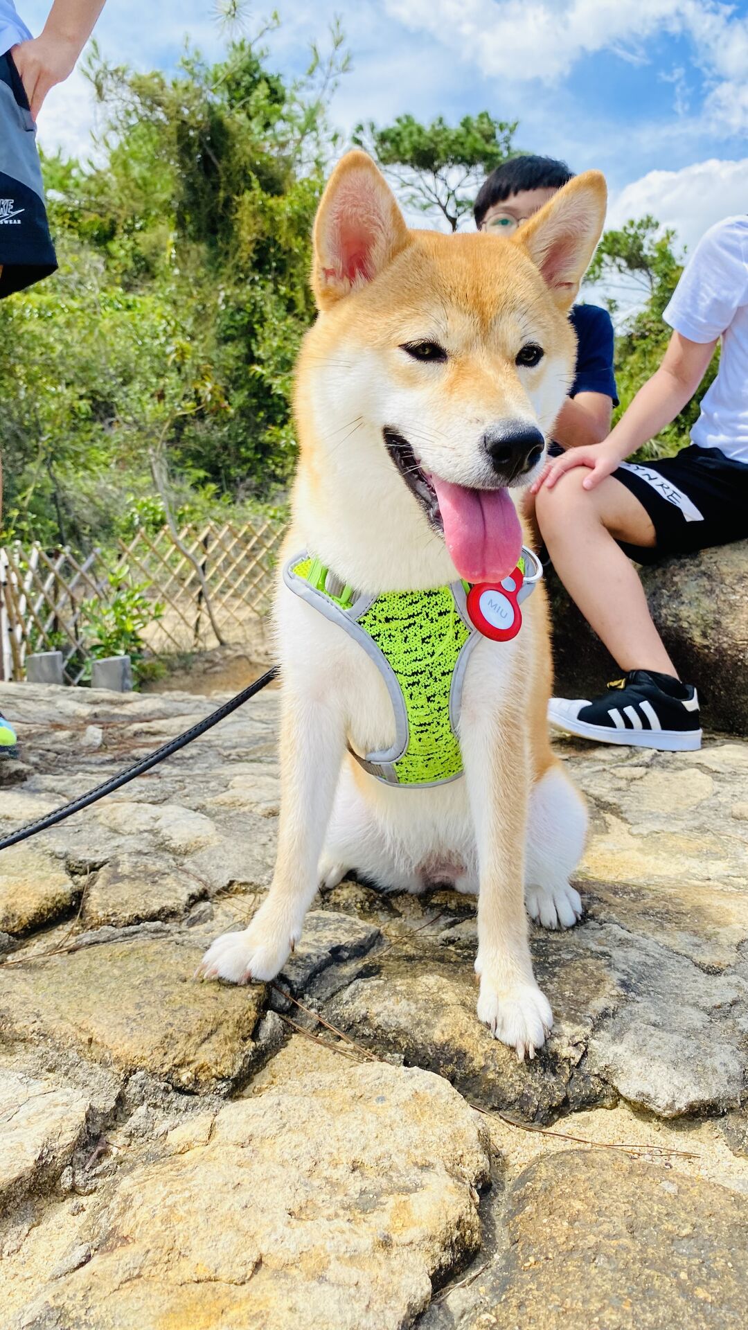 Resting on rocks