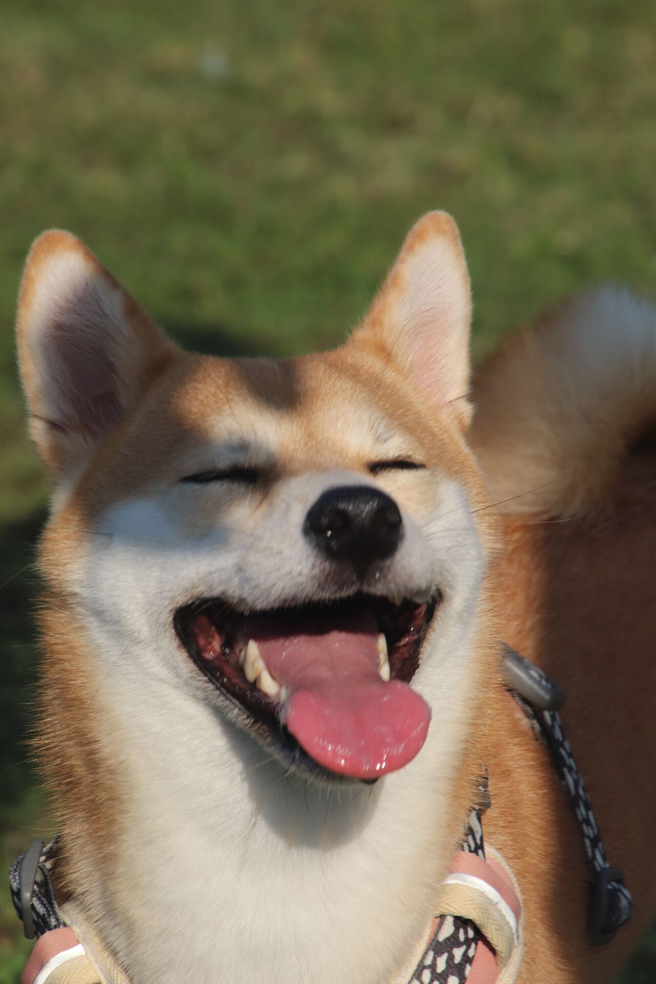 Big smile