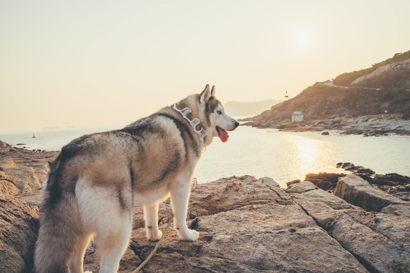 Standing on rocks