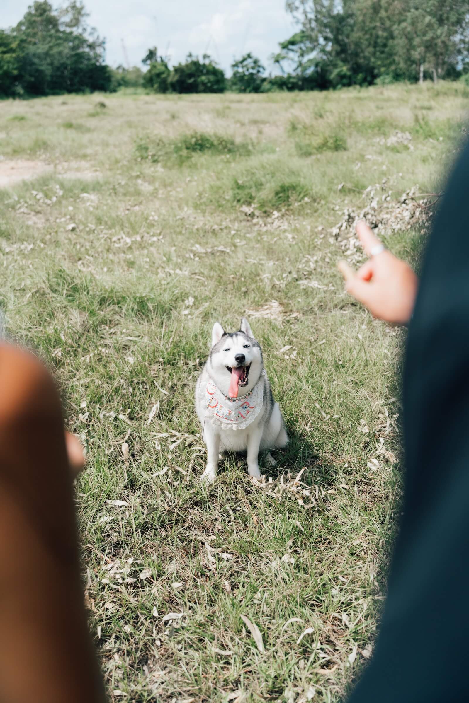 Sitting happy in grass