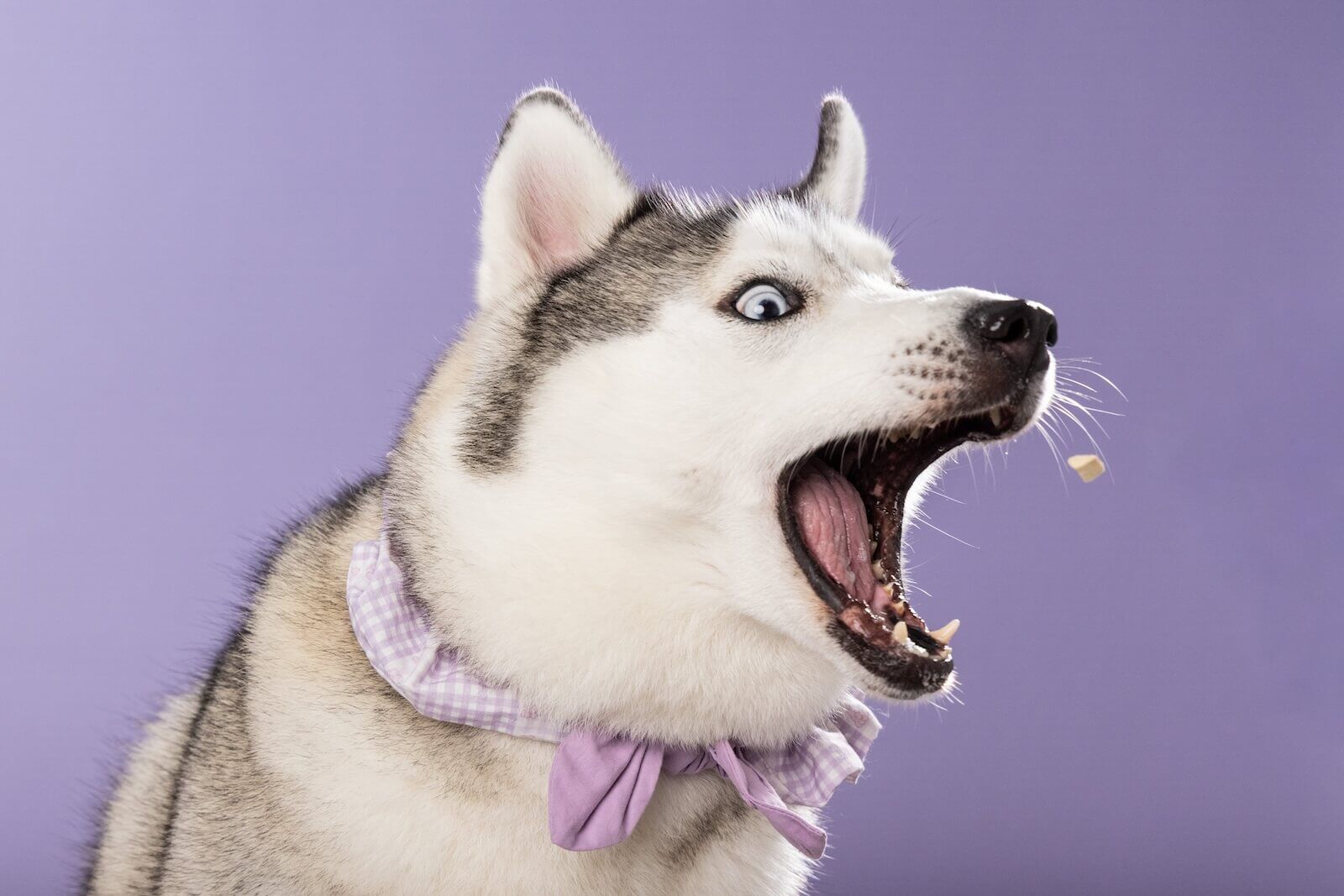 Mouth wide open