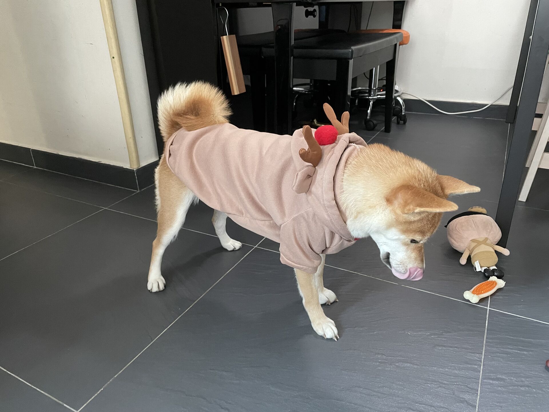 Miu Miu in a reindeer outfit